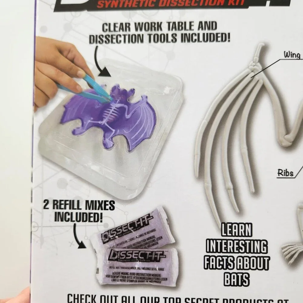 NEW Dissect-it Synthetic Lab Dissection Toy STEM KIT CRAFT Project Bat Biology A